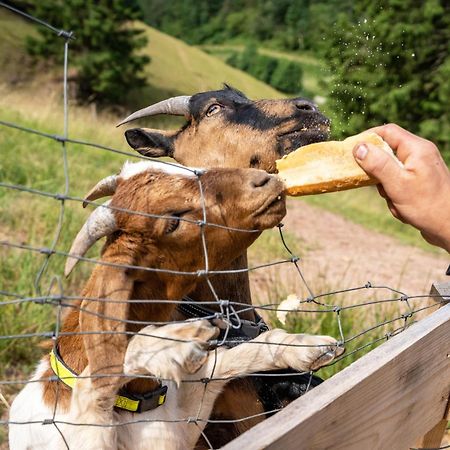 Ferienhaus Giessler Nordrach エクステリア 写真